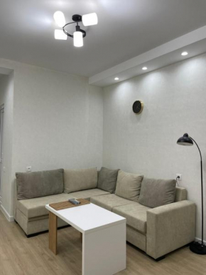 Modern apartment in Borjomi